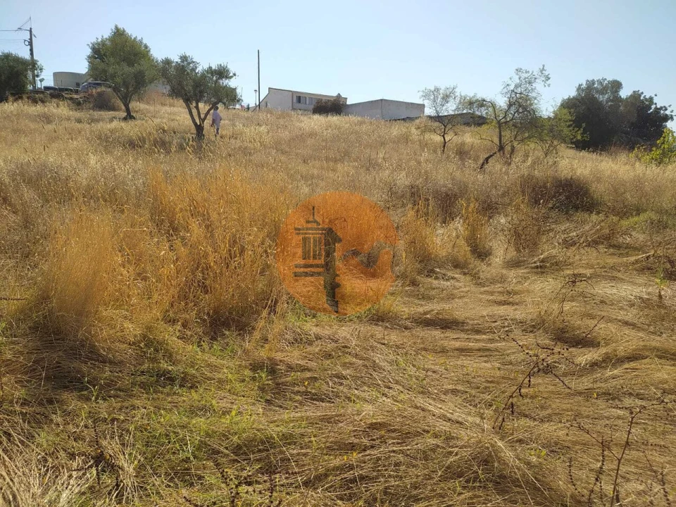 Terreno para Venda em Martim Longo Foto 11