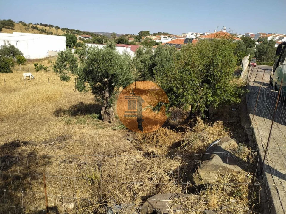 Terreno para Venda em Martim Longo Foto 14