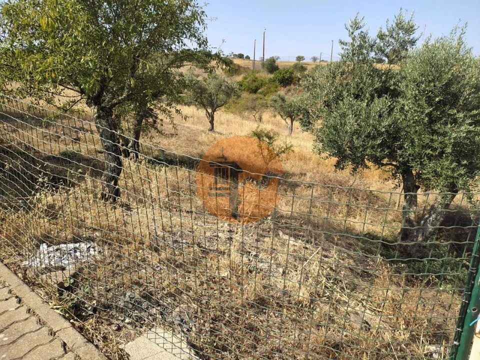 Terreno para Venda em Martim Longo Foto 19