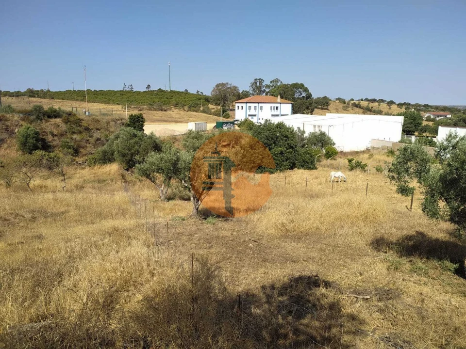 Terreno para Venda em Martim Longo Foto 21