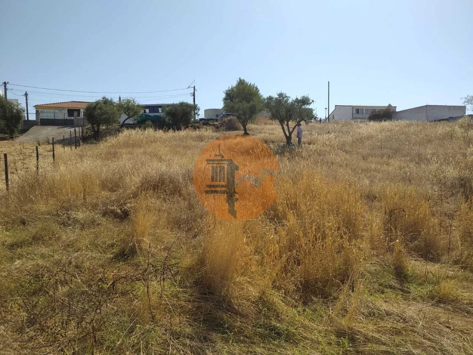 Terreno para Venda em Martim Longo Foto 22