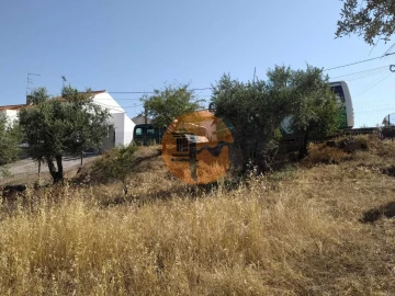 Terreno para Venda em Martim Longo