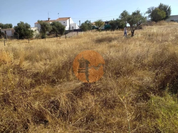 Terreno para Venda em Martim Longo