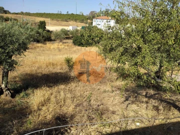 Terreno para Venda em Martim Longo