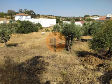 Terreno para Venda em Martim Longo