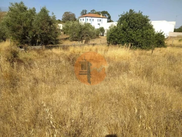 Terreno para Venda em Martim Longo