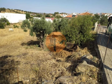 Terreno para Venda em Martim Longo