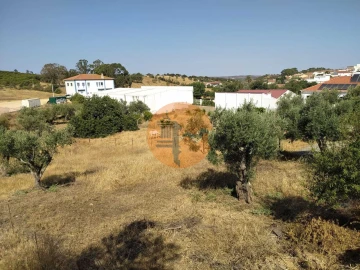 Terreno para Venda em Martim Longo
