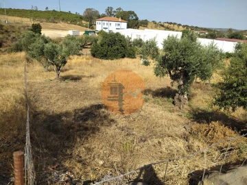 Terreno para Venda em Martim Longo