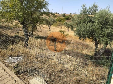 Terreno para Venda em Martim Longo