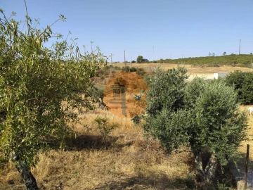 Terreno para Venda em Martim Longo