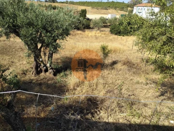 Terreno para Venda em Martim Longo