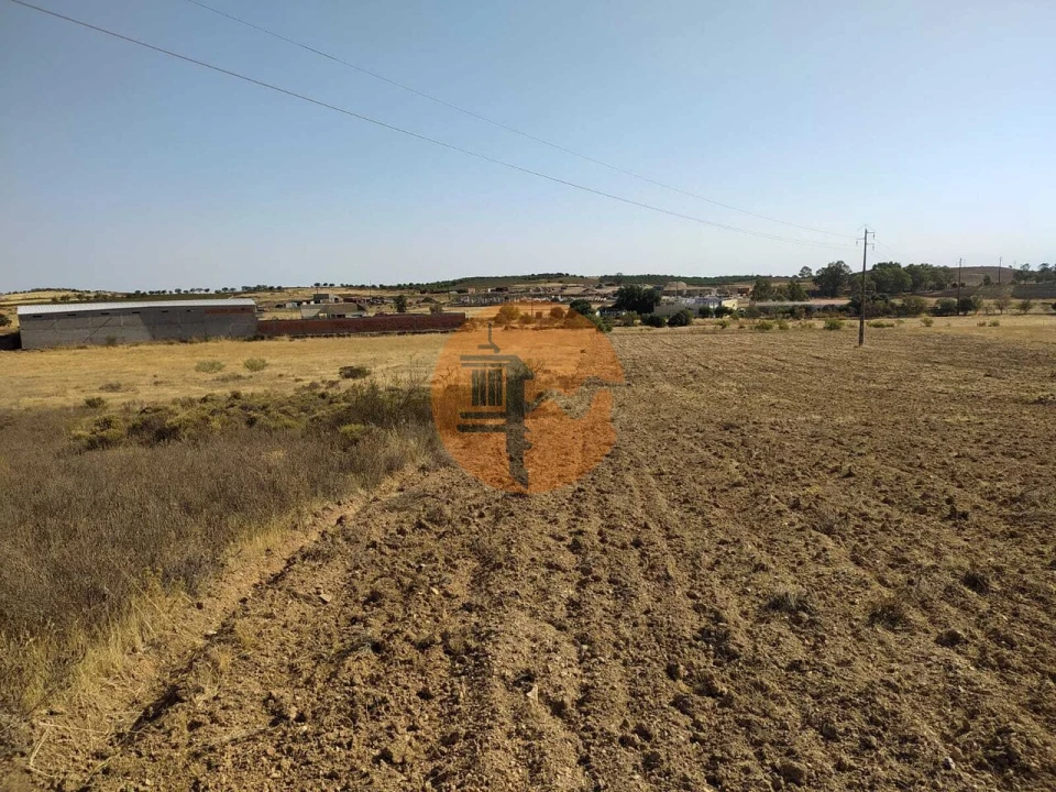 Terreno para Venda em Martim Longo Foto 1
