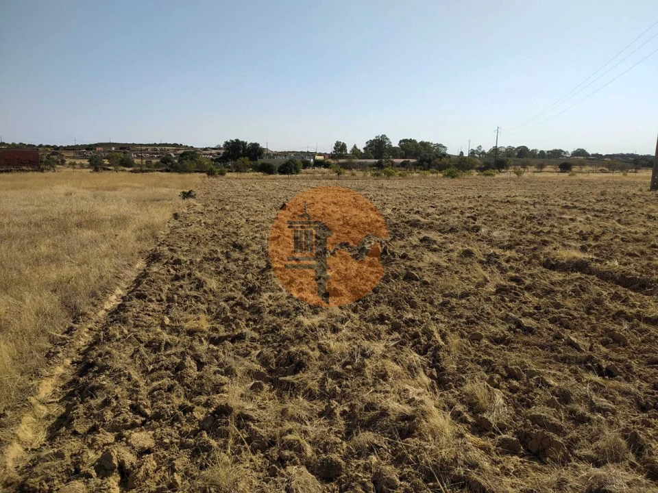 Terreno para Venda em Martim Longo Foto 3