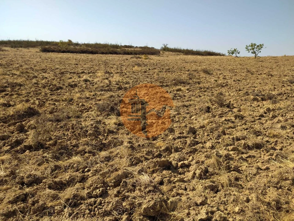 Terreno para Venda em Martim Longo Foto 4