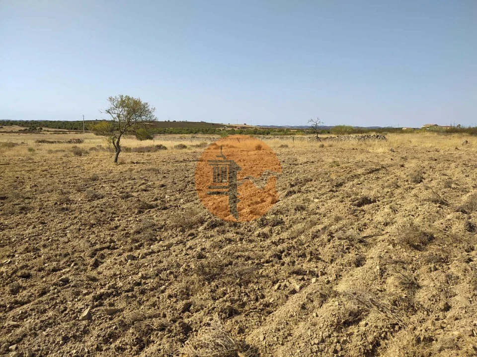 Terreno para Venda em Martim Longo Foto 7