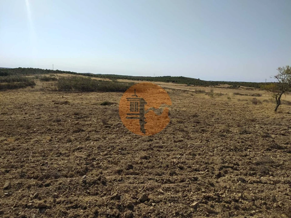 Terreno para Venda em Martim Longo Foto 8