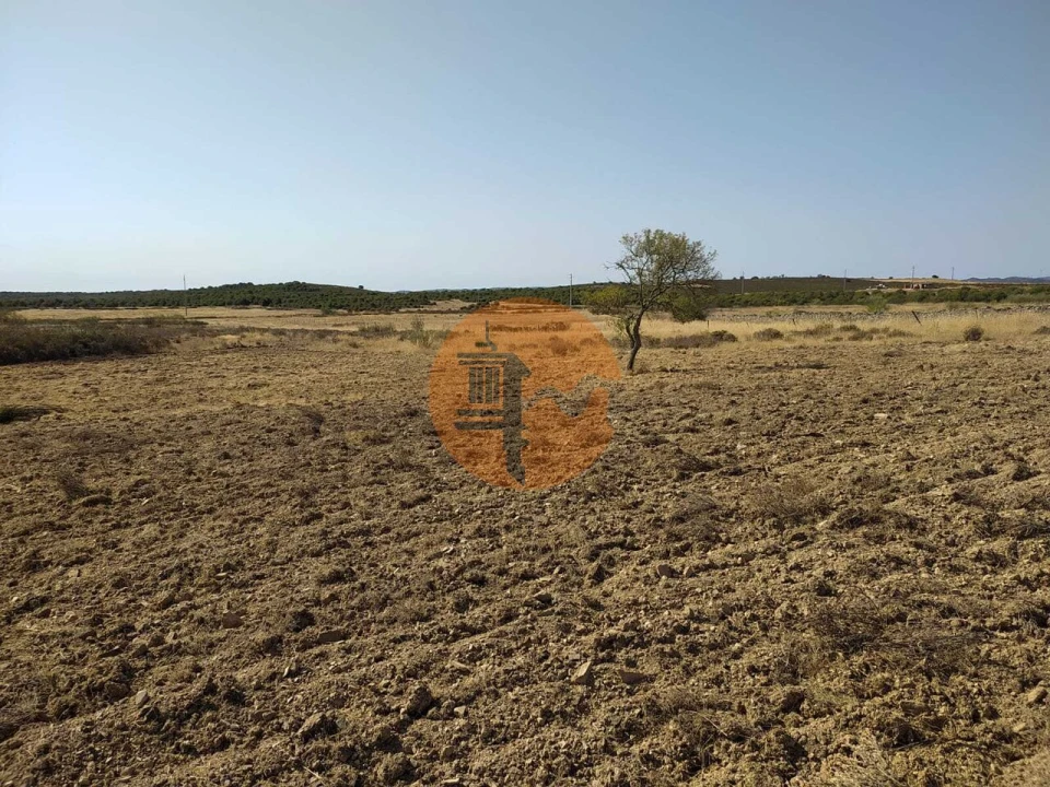 Terreno para Venda em Martim Longo Foto 10