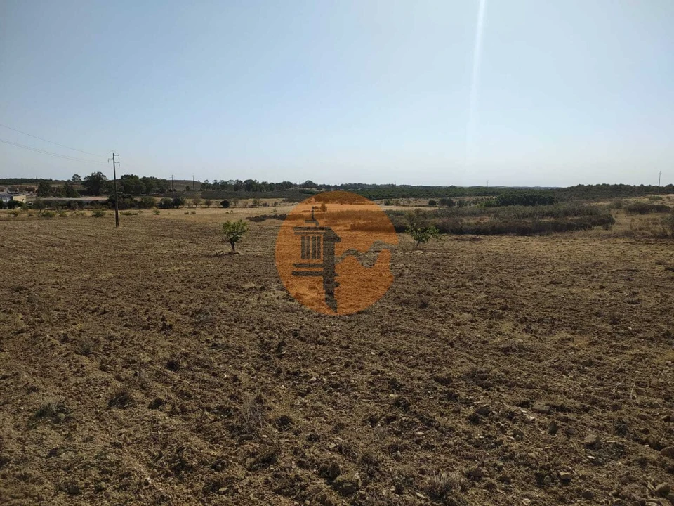 Terreno para Venda em Martim Longo Foto 11