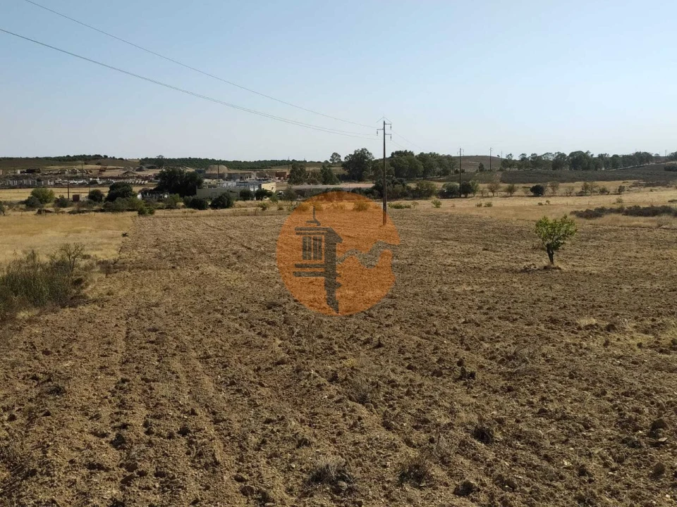 Terreno para Venda em Martim Longo Foto 13