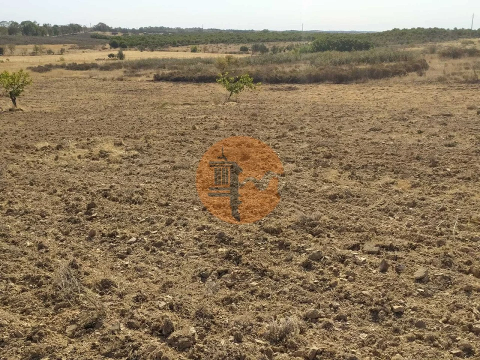 Terreno para Venda em Martim Longo Foto 14