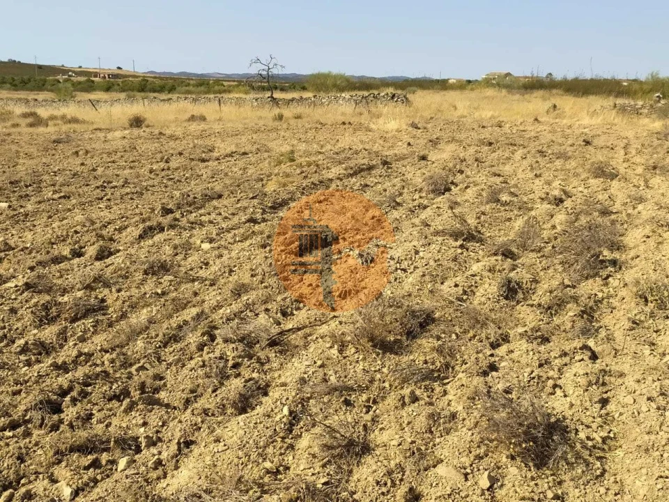 Terreno para Venda em Martim Longo Foto 15