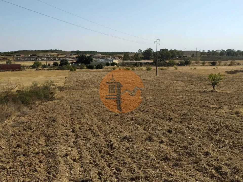 Terreno para Venda em Martim Longo Foto 16