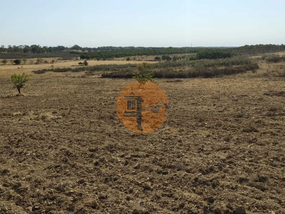 Terreno para Venda em Martim Longo Foto 17