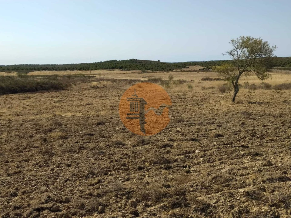 Terreno para Venda em Martim Longo Foto 18