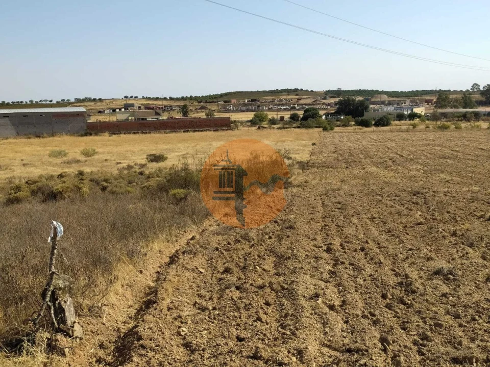 Terreno para Venda em Martim Longo Foto 20