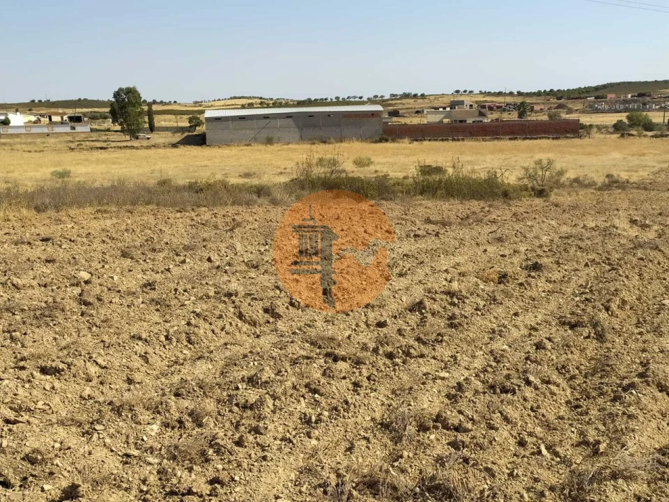 Terreno para Venda em Martim Longo Foto 21