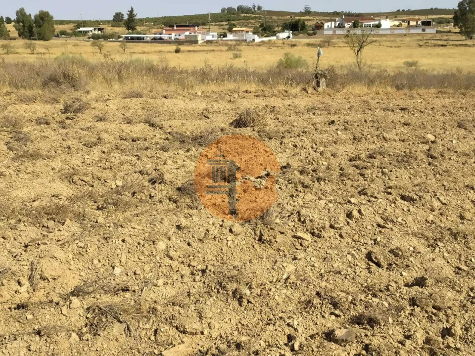 Terreno para Venda em Martim Longo Foto 22