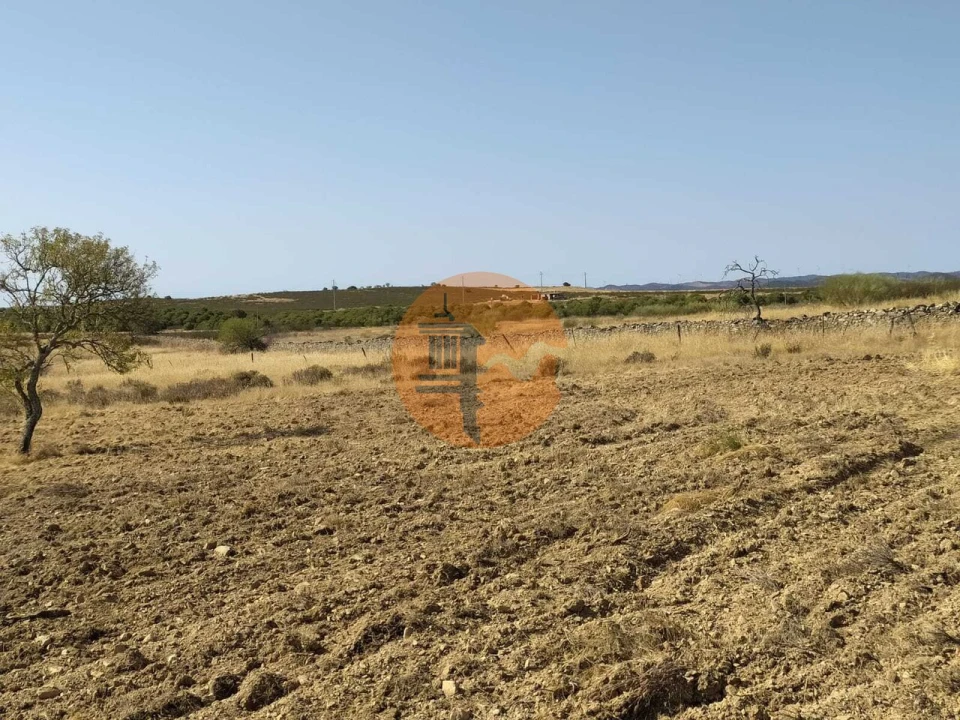 Terreno para Venda em Martim Longo Foto 24