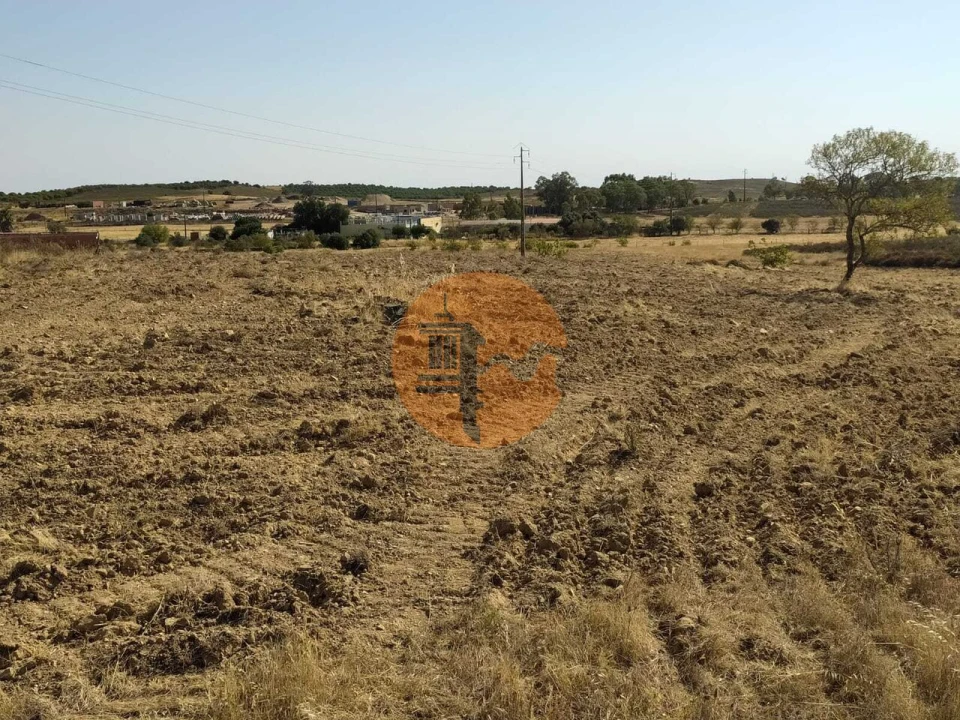 Terreno para Venda em Martim Longo Foto 26