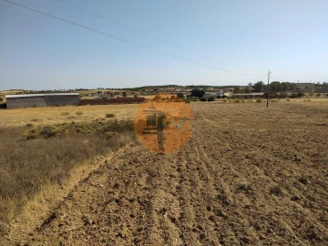 Terreno para Venda em Martim Longo
