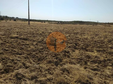 Terreno para Venda em Martim Longo