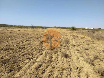 Terreno para Venda em Martim Longo