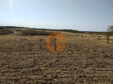 Terreno para Venda em Martim Longo