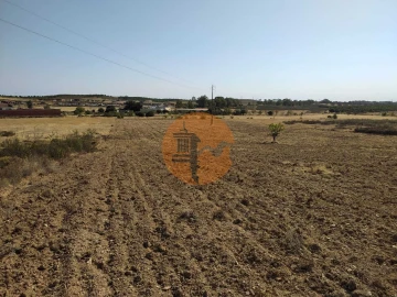 Terreno para Venda em Martim Longo