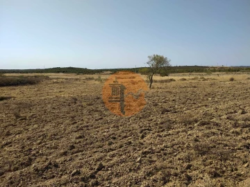 Terreno para Venda em Martim Longo
