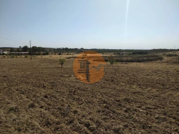 Terreno para Venda em Martim Longo