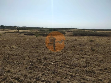 Terreno para Venda em Martim Longo