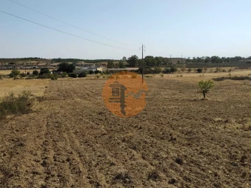 Terreno para Venda em Martim Longo