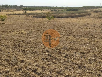 Terreno para Venda em Martim Longo