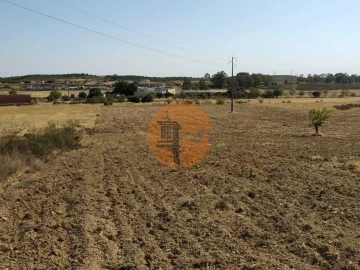 Terreno para Venda em Martim Longo
