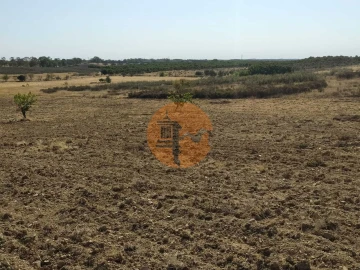 Terreno para Venda em Martim Longo