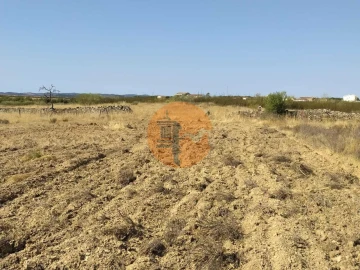 Terreno para Venda em Martim Longo