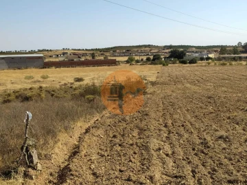 Terreno para Venda em Martim Longo