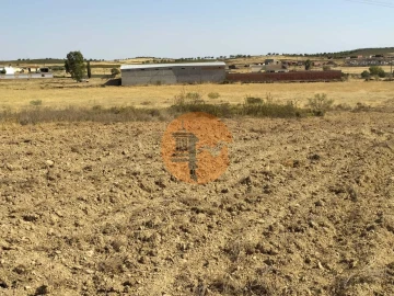 Terreno para Venda em Martim Longo