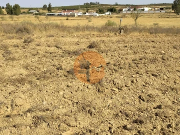 Terreno para Venda em Martim Longo